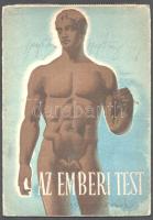 ca 1950 Az Emberi test. képes leporelló, ráhajtható rétegekkel. 12x16 cm