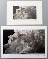 Noruo Shinoda (1947-, japán művész): 5 db grafika és nyomat (Tengerparti szikla stb.). Klf. technikák, papír, részben jelzett. 17x12,5 cm és 17x28,5.