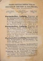 1879 Panorama bei der Fahr auf dem St. Wolfgang od. Aber-See. Salzburg, Heinrich Dieter 160x16 cm