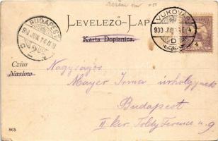 1900 Vukovár, Vukovar; látkép. J. Bagdy kiadása / general view (r)