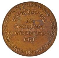 DN "Bács-Kiskun Megyei Gyermek és Ifjúságvédő Intézet - Köszönettel az önzetlen gondoskodásért&...