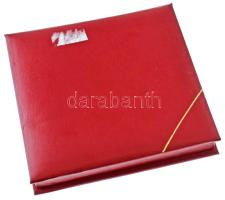 DN "Bács-Kiskun Megyei Gyermek és Ifjúságvédő Intézet - Köszönettel az önzetlen gondoskodásért&...