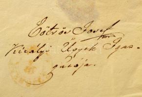 1850 báró Eötvös József (1813-1871) királyi ügyek igazgatója által írt viaszpecsétes hivatalos levél...