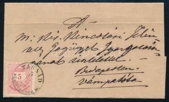 1876 5kr levélen / on cover "TASNÁD / KÖZÉP-SZOLNOK M."