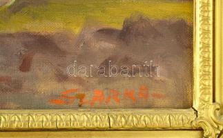 Szarka jelzéssel (Szarka Erzsébet?): Vízparti élet. Olaj, vászon. Dekoratív fakeretben. 60x80 cm