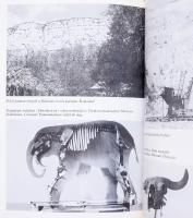 Juhász Árpád: Évmilliók emlékei. Magyarország földtörténete és ásványi kincsei. Bp., 1987, Gondolat,...