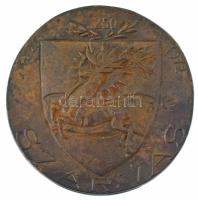 Mladonyiczky Béla (1936-1995) 1972. "Szarvas 1722-1972" egyoldalas öntött bronz plakett (100mm) T:XF