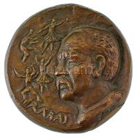 DN "Rábai (Miklós)" egyoldalas öntött bronz emlékplakett (118mm) T:AU