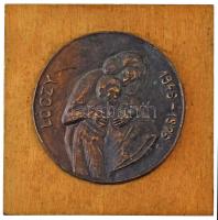DN "Lóczy 1946-1976" egyoldalas, öntött bronz emlékplakett (102mm) falra akasztható fa talapzaton (140x140mm) T:AU