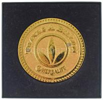 Amerikai Egyesült Államok DN "Folytassuk a Herbalife üzenetének terjesztését szerte a világon ? Sok sikert! / Millió Köszönet - Herbalife" kétoldalas, aranyozott fém plakett eredeti dobozban (88,5mm) T:XF, aranyozás kopás USA ND "Let's Continue To Spread The Message Of Herbalife Around The Globe - Good Luck / Thanks a Billion - Herbalife" two-sided gilt metal plaque in original case (88,5mm) C:XF, gilt worn