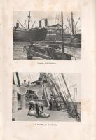 Keöpe Viktor:
Cejlon, az Éden szigete.
Budapest, (1934). Franklin-Társulat Magyar Irodalmi Intézet...