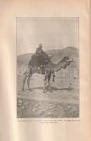 Hedin, Sven: 
A rejtelmes India felé. Sven Hedin utazása Perzsia sivatagjain keresztül. Fordította ...