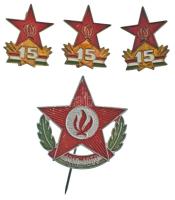 1959. "1919-1959" festett Al úttörő jelvény + DN "Úttörő - 15 év" aranyozott, műgyantás bronz jelvény (3x) T:AU,XF