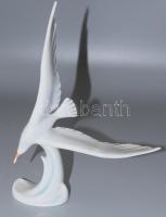 Hollóházi sirály. Jelzett, hibátlan, m: 24 cm