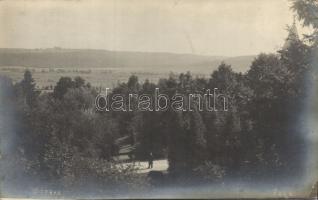 Wierbka forest photo (EK)