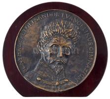 Boros Tibor (1945-) 2006. "Bonyhádi Petőfi Sándor Evangélikus Gimnázium" egyoldalas, öntött bronz plakett mahagóni fa talapzaton, hátoldalán névre szóló gravírozással T:AU,XF, karc, alján fúrt lyukkal kiállíthatóság miatt