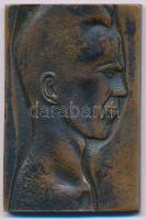 1990. "Rajk László" egyoldalas, öntött bronz plakett, hátoldalán gravírozással és "336" számozással (40x70mm) T:AU