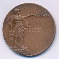 Svédország 1945 k. "Svéd Katonai Sportszövetség" kétoldalas Cu díjérem, "C. G. Hallbe...