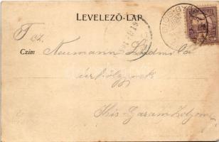 1901 Miskolc, látkép. Ferenczi B. kiadása 2166. (fl)