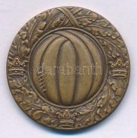 Svédország 1935. "Svéd Labdarúgó Szövetség / Kelet-svéd bajnokság 1934-1935" kétoldalas bronz díjérem (27,5mm) T:AU Sweden 1935. "Svenska Fotboll Fürbundet / Östvenska serien 1934-1935" two-sided bronze award medal (27,5mm) C:AU