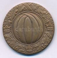 Svédország 1933. "Svéd Labdarúgó Szövetség / Stockholmi sorozat I. osztály 1932-33" kétoldalas bronz díjérem (27,5mm) T:AU Sweden 1933. "Svenska Fotboll Fürbundet / Stockholmsserien klass I 1932-33" two-sided bronze award medal (27,5mm) C:AU