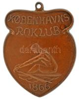Dánia 1866. "Koppenhága Evezőklub" egyoldalas bronz díjérem füllel (~28,5x37mm) T:AU,XF Denmark 1866. "Kobenhavns Roklub" one-sided bronze award medal with ear (~28,5x37mm) C:AU,XF