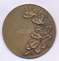 Svédország 1938. "Svéd Jégkorong Szövetség" kétoldalas bronz díjérem, hátoldalán "C.G...