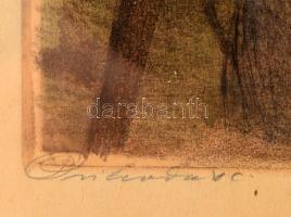 Iványi Grünwald Béla (1867-1940) - Prihoda István (1891-1956) : Legény. Színezett rézkarc, papír, je...