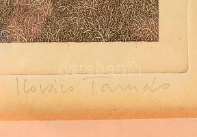 Kovács Tamás (1942-1999): Tavaszi találkozó. Litográfia papír, jelzett, üvegezett fakeretben, 29x18 ...