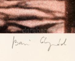 Bari Árpád (1953- ): Tavaszi metafóra. Ofszet nyomat, papír, jelzett, számozott (160/300), 45x38 cm ...