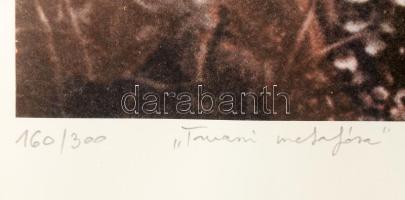 Bari Árpád (1953- ): Tavaszi metafóra. Ofszet nyomat, papír, jelzett, számozott (160/300), 45x38 cm ...