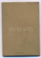 Svédország 1945. Tegnérhofs-i Sportegyesület "TIF - K M Bowling 2. díj" egyoldalas bronz d...