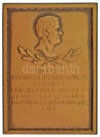 Svédország DN "A Svéd Torna Szövetség plakettje 10 éves aktív részvételért a torna gyakorlatokban" egyoldalas bronz emlékplakett, hátoldalán "SPORRONG" gyártói jelzéssel (53x74mm) T:AU Sweden ND "Svenska Gymanstikförbundets plakett för 10-arigt intres-serat deltagande i gymnastikövningar till" one-sided bronze commemorative plaque with "SPORRONG" maker's mark on the reverse (53x74mm) C:AU