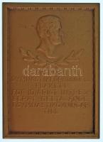 Svédország DN "A Svéd Torna Szövetség plakettje 10 éves aktív részvételért a torna gyakorlatokban" egyoldalas bronz emlékplakett, hátoldalán "SPORRONG" gyártói jelzéssel (53x74mm) T:AU Sweden ND "Svenska Gymanstikförbundets plakett för 10-arigt intres-serat deltagande i gymnastikövningar till" one-sided bronze commemorative plaque with "SPORRONG" maker's mark on the reverse (53x74mm) C:AU