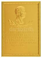 Svédország DN "A Svéd Torna Szövetség plakettje 20 éves aktív részvételért a torna gyakorlatokban" egyoldalas, aranyozott bronz emlékplakett, hátoldalán "SPORRONG" gyártói jelzéssel (53x74mm) T:AU Sweden ND "Svenska Gymanstikförbundets plakett för 20-arigt intres-serat deltagande i gymnastikövningar till" one-sided, gilt bronze commemorative plaque with "SPORRONG" maker's mark on the reverse (53x74mm) C:AU