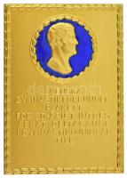 Svédország DN "A Svéd Torna Szövetség plakettje 30 éves aktív részvételért a torna gyakorlatokban" egyoldalas, aranyozott, részben műgyantás bronz emlékplakett, hátoldalán "SPORRONG" gyártói jelzéssel (53x74mm) T:AU Sweden ND "Svenska Gymanstikförbundets plakett för 30-arigt intres-serat deltagande i gymnastikövningar till" one-sided, gilt, partially synthetic resined bronze commemorative plaque with "SPORRONG" maker's mark on the reverse (53x74mm) C:AU