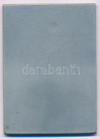 Svédország DN "A Svéd Torna Szövetség plakettje 15 éves aktív részvételért a torna gyakorlatokb...