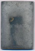 Svédország DN "Svéd Sí- és Szabadidősport Szövetség" egyoldalas, ezüstözött bronz emlékpla...