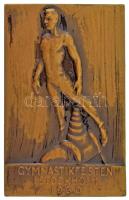 Svédország 1930. "Torna Fesztivál - Stockholm" egyoldalas bronz emlékplakett, "WESTINS STOCKHOLM" gyártói jelzéssel a hátoldalon, eredeti kartondobozban, tető nélkül (43x66mm) T:AU,XF Sweden 1930. "Gymnastikfesten I Stockholm" one-sided bronze commemorative plaque with "WESTINS STOCKHOLM" maker's mark on the reverse, in original cardboard box, without lid (43x66mm) C:AU,XF