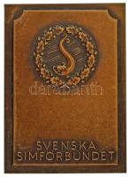 Svédország DN "Svéd Úszószövetség" egyoldalas bronz emlékplakett, "SPORRONG&amp;CO. STOCKHOLM" gyártói jelzéssel- és "453" számozással a hátoldalon (53x73mm) T:XF Sweden ND "Svenska Simförbundet" one-sided bronze commemorative plaque with "SPORRONG&amp;CO. STOCKHOLM" maker's mark- and numbered "453" on the reverse (53x73mm) C:XF