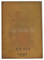 Svédország DN "Svéd Úszószövetség" egyoldalas bronz emlékplakett, "SPORRONG&amp;C...