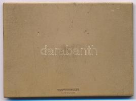 Svédország 1947. "Postai Sportszövetség - Tenisz férfi páros" egyoldalas bronz díjplakett,...