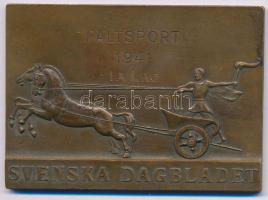Svédország 1941. "Svenska Dagbladet Érdemérem - Terepsport" egyoldalas bronz díjplakett, "C.C.SPORRONG&amp;CO. STOCKHOLM" gyártói jelzéssel- és névre szóló gravírozással a hátoldalon (53x73mm) T:AU,XF Sweden 1941. "Svenska Dagbladet Merit Medal - Fältsport" one-sided bronze award plaque with "C.C.SPORRONG&amp;CO. STOCKHOLM" maker's mark- and engraved name on the reverse (53x73mm) C:AU,XF