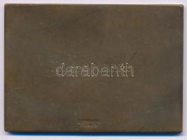 Svédország 1941. "Svenska Dagbladet Érdemérem - Terepsport" egyoldalas bronz díjplakett, &...