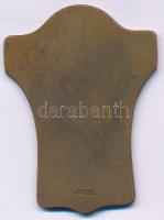 Svédország DN "IFL - A Linnea Sportklub 15 éves jubileumi versenyei" egyoldalas bronz díjp...