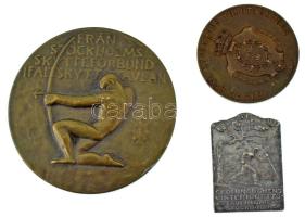 Svédország 1925. "Svéd Királyi 'Svea Lifgardes' Sportklub" kétoldalas bronz díjérem, hátoldalán "AUG.HÖGEL" gyártói jelzéssel (34mm) + 1926. "Iskolások téli sportversenyei Stockholmban" egyoldalas fehérfém lemez plakett, hátoldalán "SPORRONG&amp;CO. STOCKHOLM" gyártói jelzéssel (23x33mm) + DN "Stockholmi Lövészszövetség - Tereplövész verseny" egyoldalas bronz díjérem (56mm) T:XF Sweden 1925. "Kungliga Svea Lifgardes Idrottsklubb" two-sided bronze award medal, with "AUG.HÖGEL" maker's mark on the reverse (34mm) +1926. "Skolungdomens vinteridrotts-tävlingar Stockholm" one-sided white metal plaque, with "SPORRONG&amp;CO. STOCKHOLM" maker's mark on the reverse (23x33mm) + ND "Frán Stockholms Skytteförbund Fältskyttetävling" one-sided bronze award medal (56mm) C:XF
