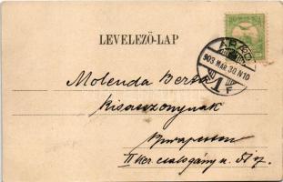 1903 Arad, Salacz park. Bloch H. nyomdája kiadása / park (EK)