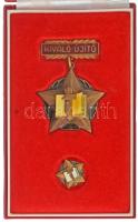 1970 k. "Kiváló Újító" műgyantás bronz jelvény miniatűrrel eredeti, kissé sérült tokban T:AU patina
