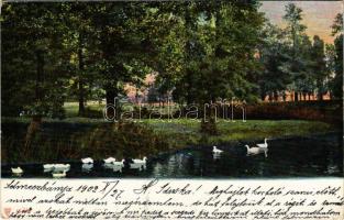 1902 Selmecbánya, Banská Stiavnica; park / park (EK)