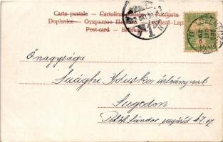 1902 Selmecbánya, Banská Stiavnica; park / park (EK)